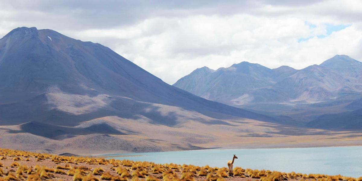 Family reviewing estate planning documents at a kitchen table