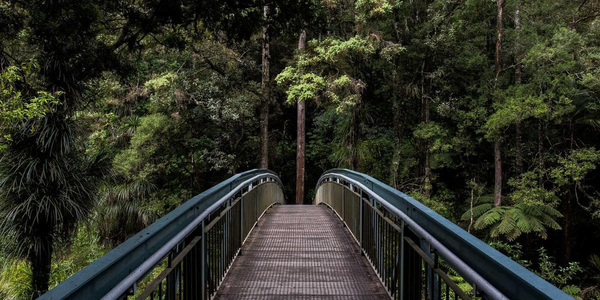 Canadian police station front entrance