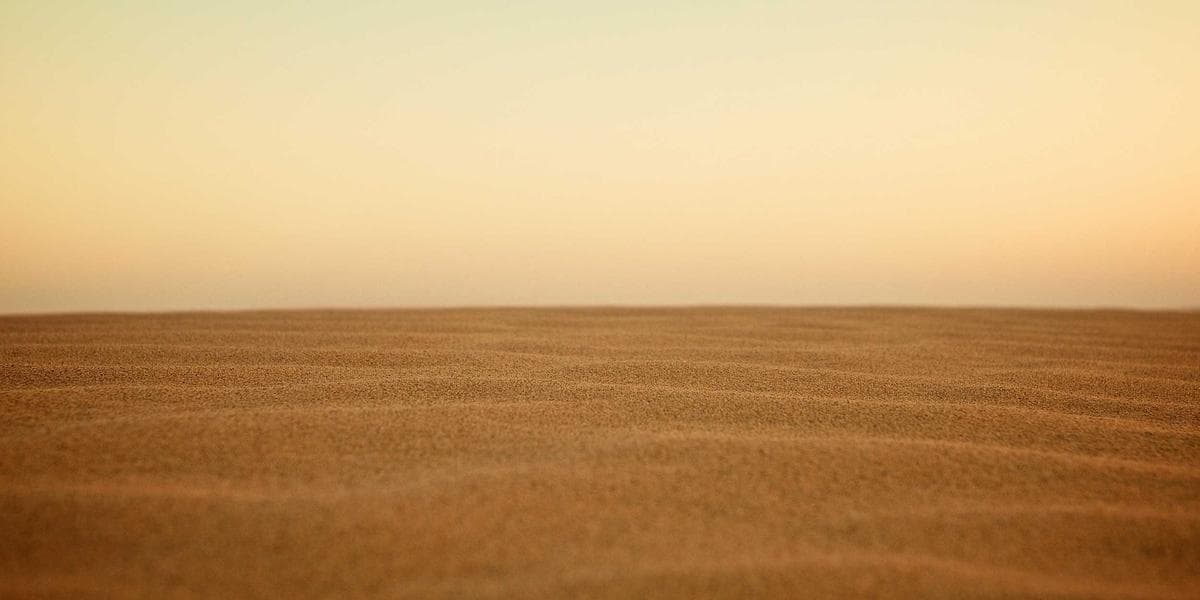 Colourful potluck spread with diverse dishes on a table