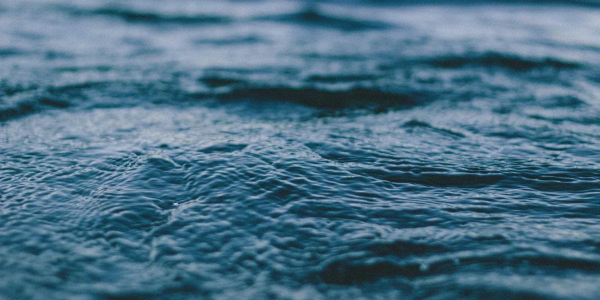 Small business owner reviewing GST HST paperwork