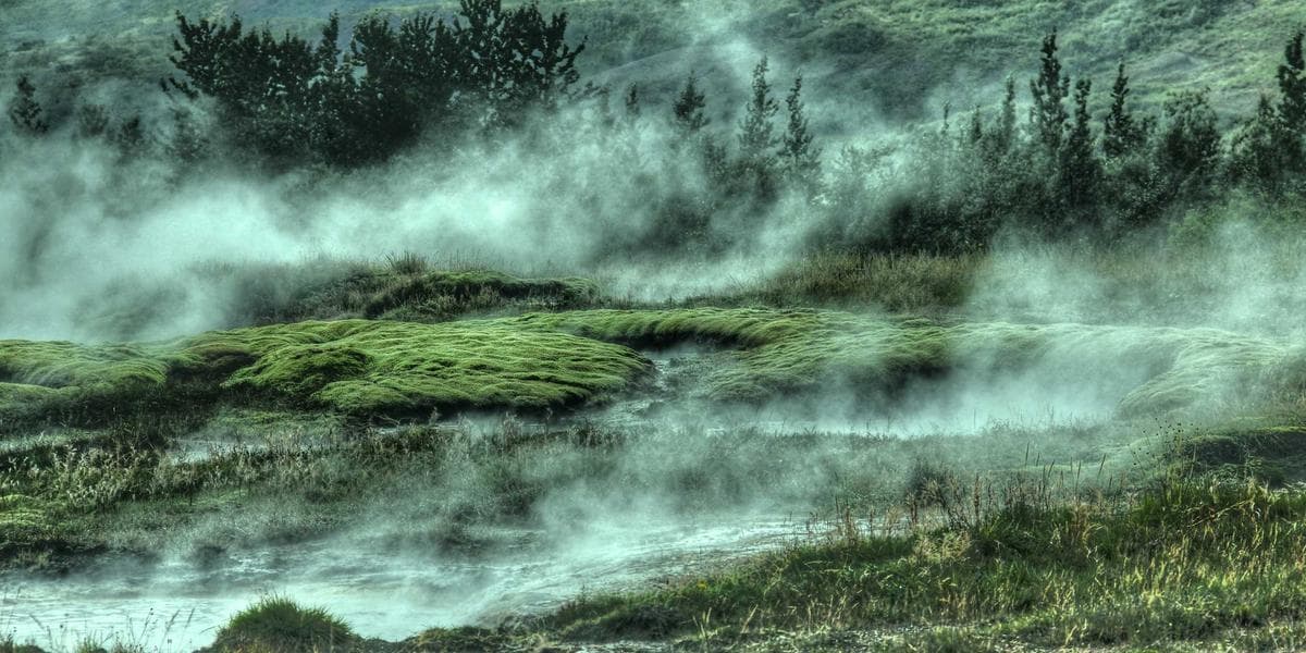 Professionals networking at a Canadian industry event