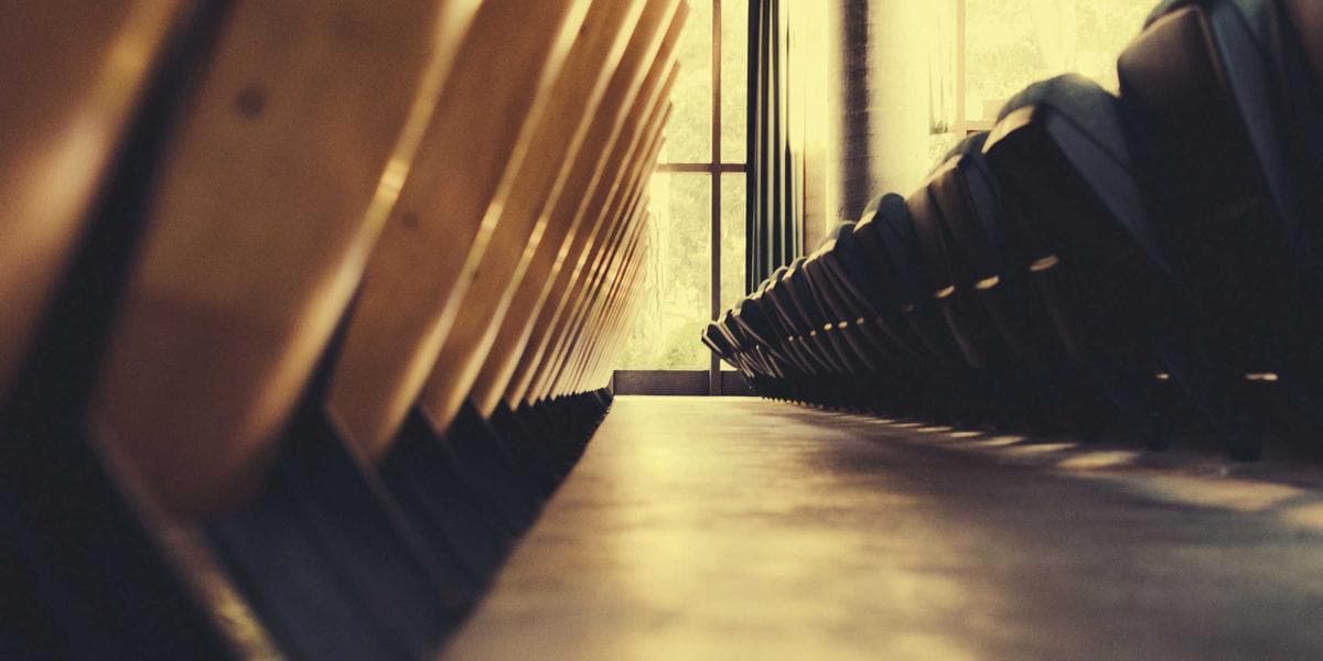 Disability Support and Accessibility in Canada: A Guide for Newcomers illustration