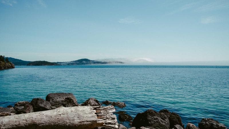 A newcomer sitting at a computer accessing government services online