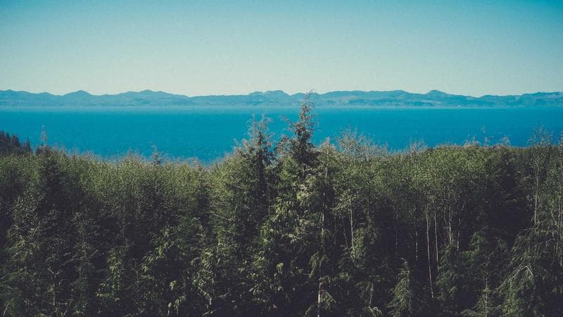 Computer screen showing a government web form with various input fields