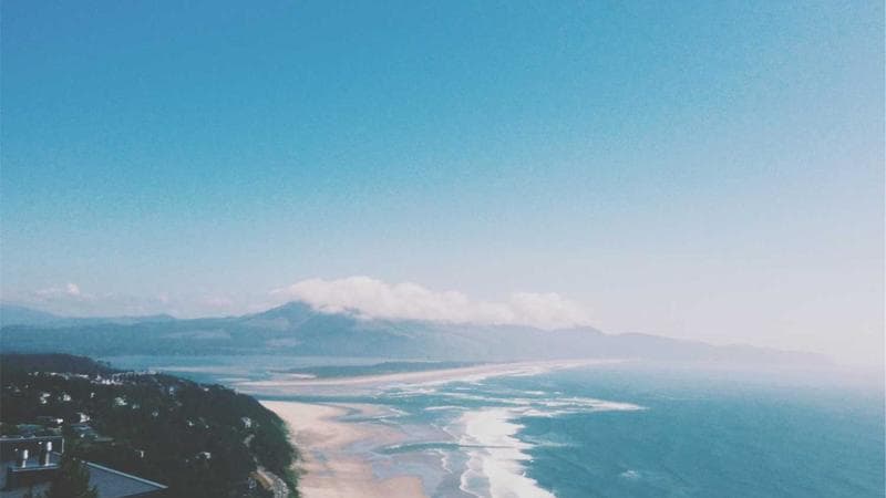 Person troubleshooting a login issue on a government website