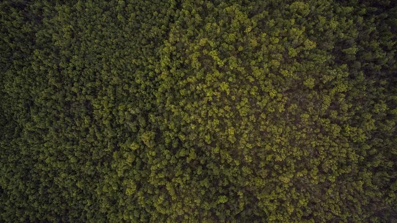 Collection of personal documents including birth certificate, photos, and passport