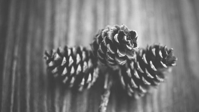 Young professional working at a desk in a modern Canadian office