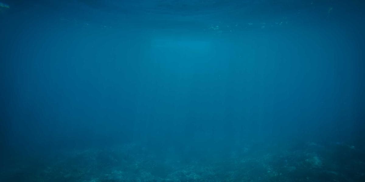 Couple reviewing CRA marital status change form RC65