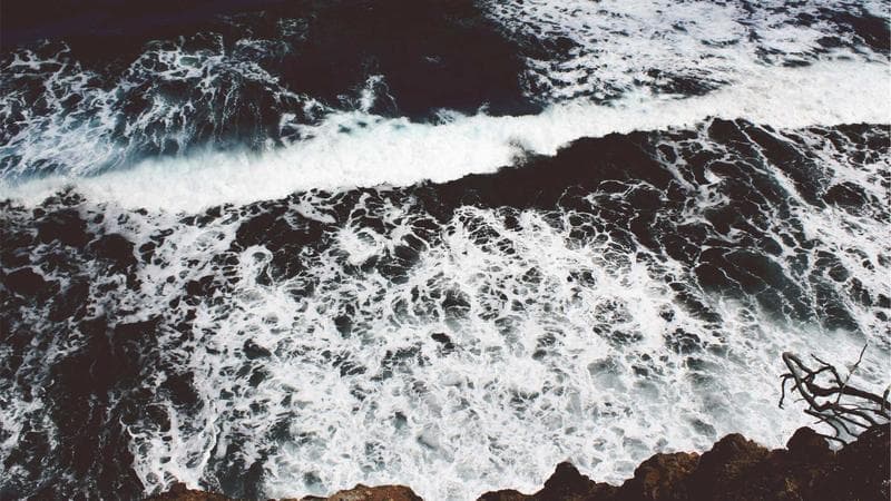 Newcomers exploring a vibrant Canadian city neighbourhood with shops and restaurants