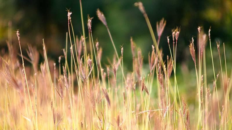 Aerial view of downtown Vancouver with harbour and mountains representing BC Express Entry opportunities