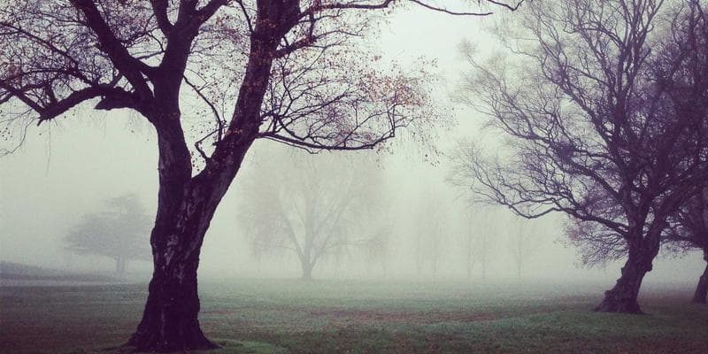Person using assistive technology on a computer