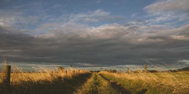 CPA exam preparation materials and study resources