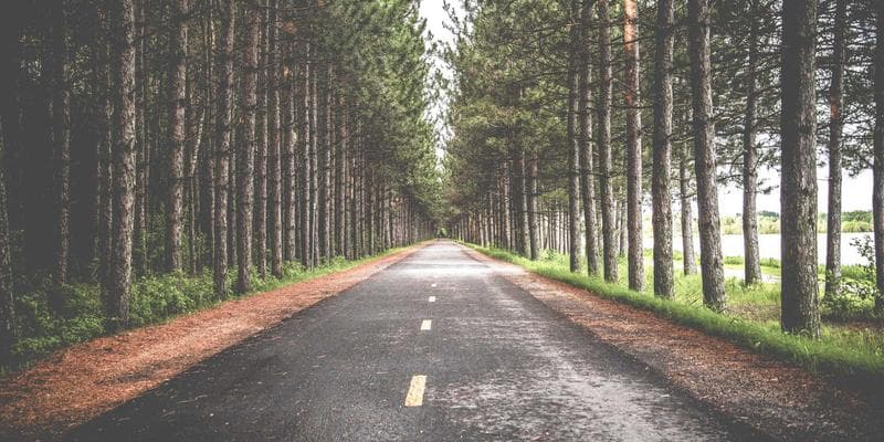 Job fair for newcomers in Canada