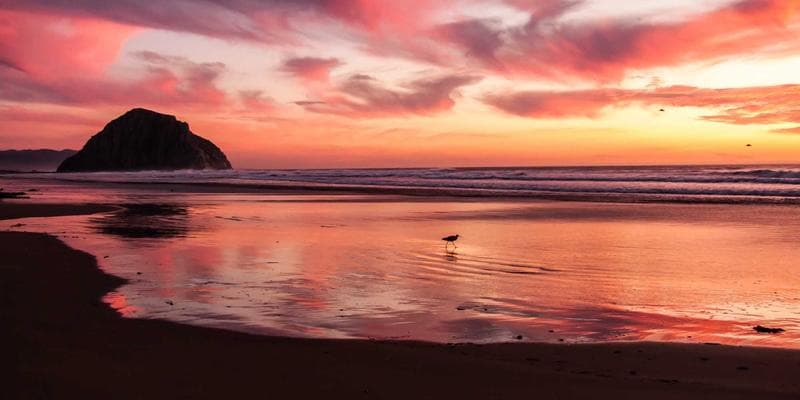 Legal aid office helping tenants with eviction defence