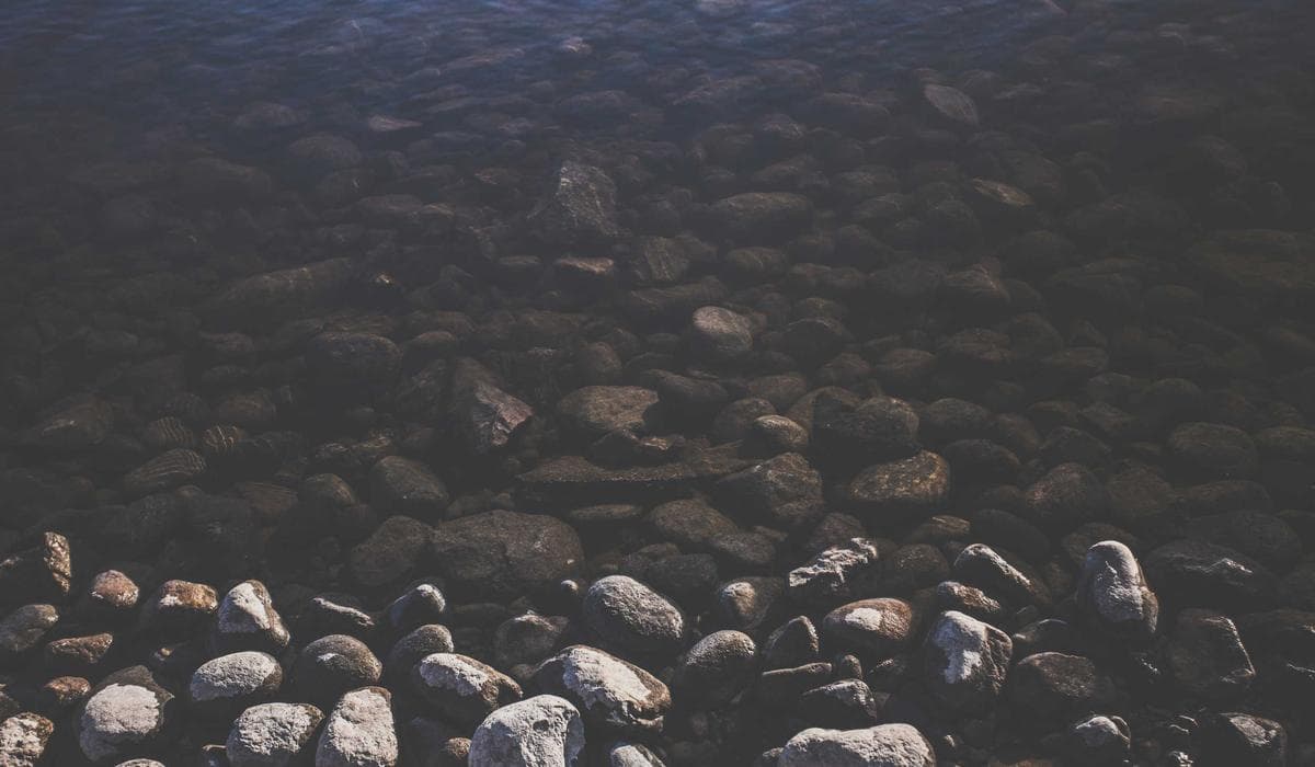 International student reviewing T2202 tuition tax certificate at their desk
