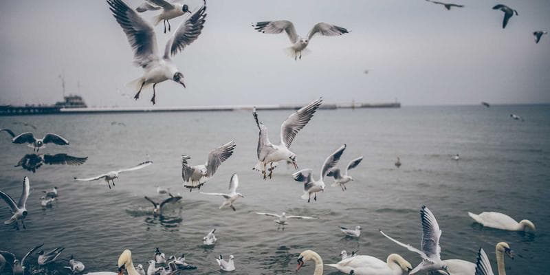 Newcomer achieving financial goals in Canada