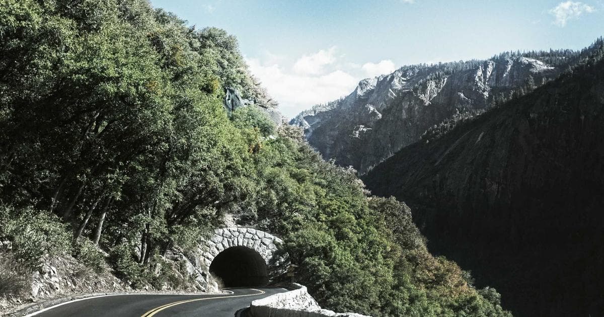 Person using a laptop to submit an online government enquiry form