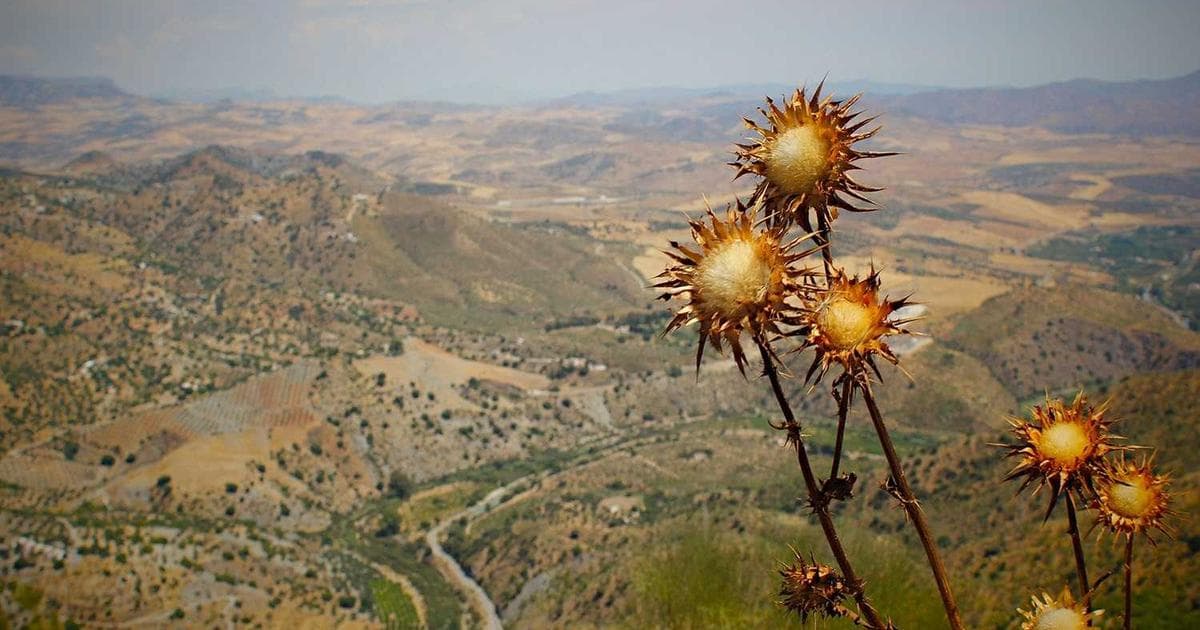 Person setting up an online account on a laptop computer