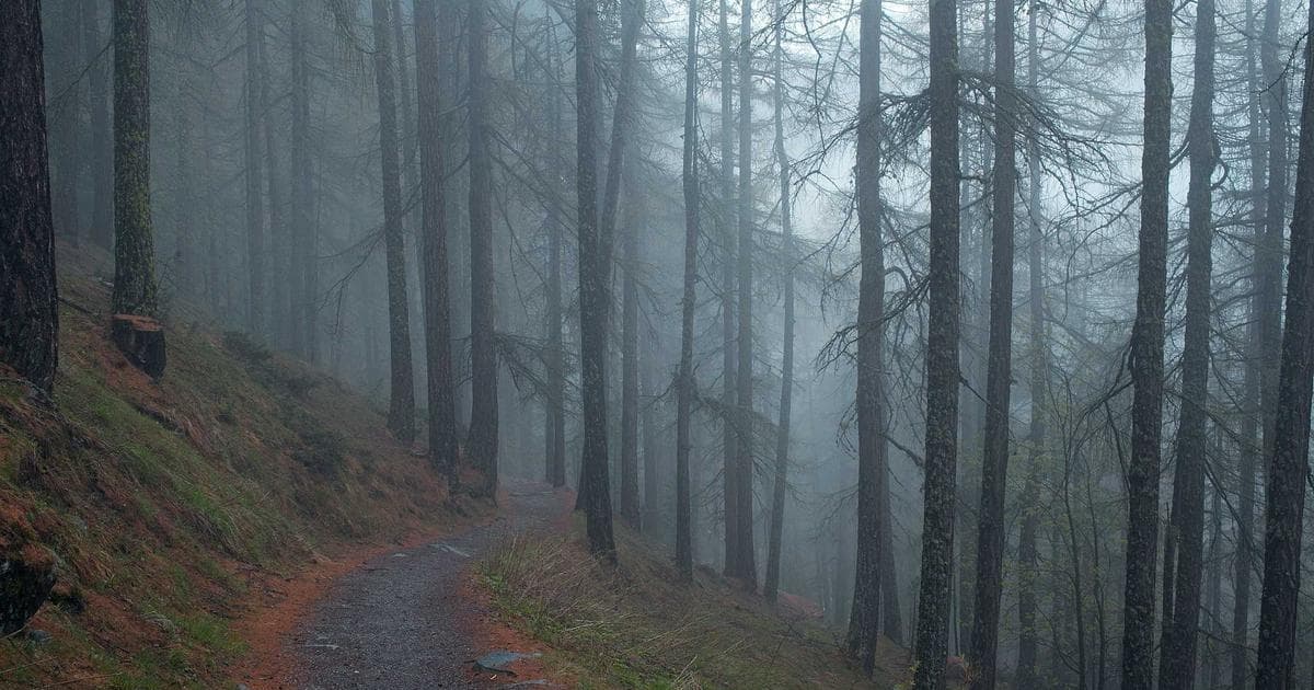 Vancouver cityscape representing the BC PNP Express Entry BC stream for skilled workers