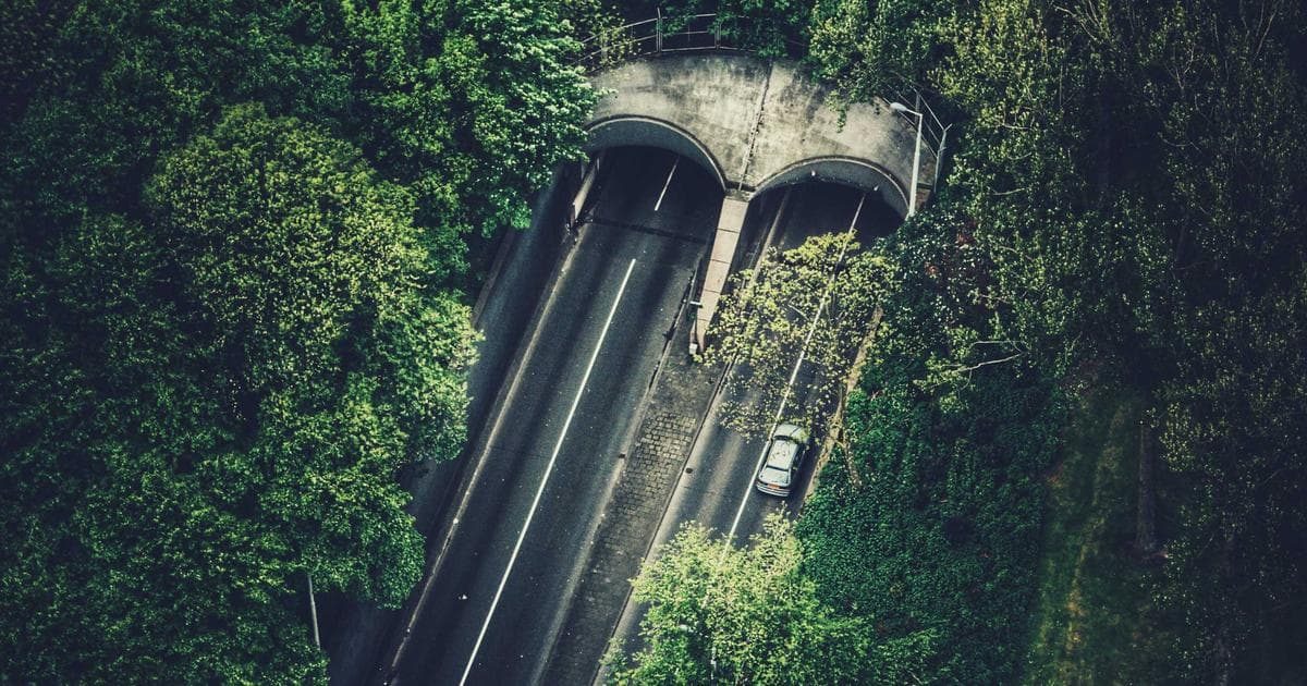 Entrepreneur in a modern British Columbia office representing the BC PNP Entrepreneur Immigration stream