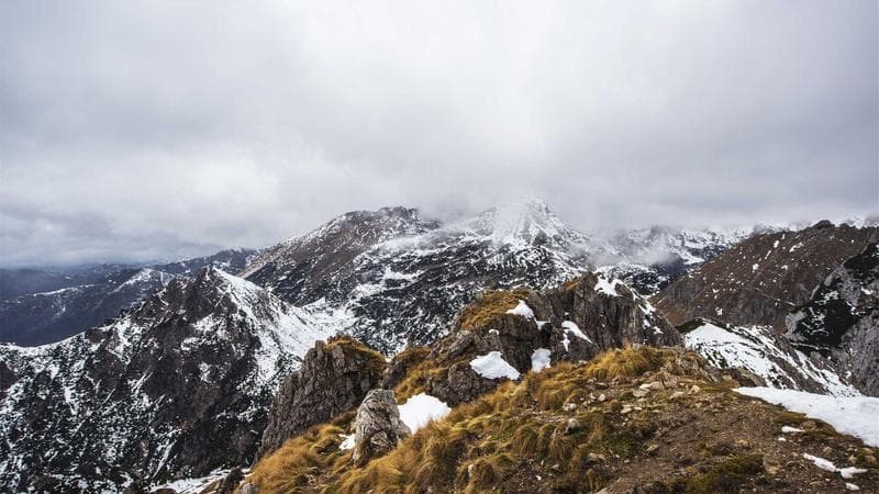 Person completing NR301 tax treaty benefits form with reference documents