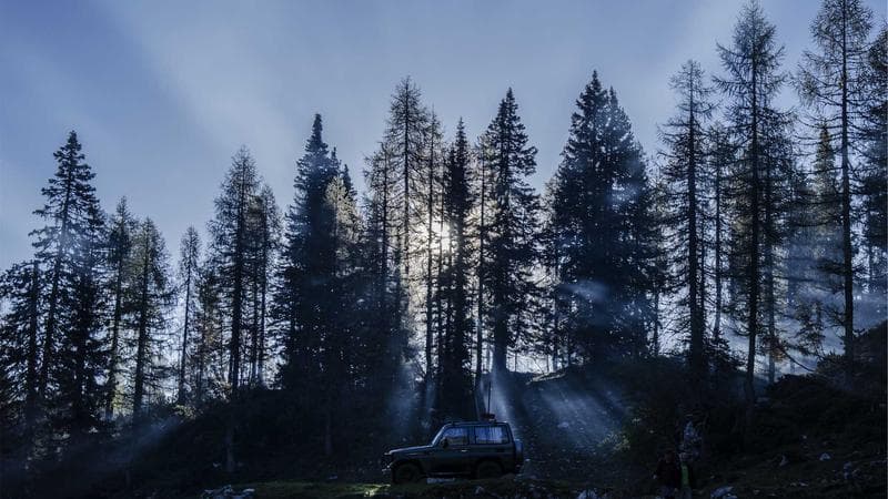 Globe showing international tax treaty partner countries with Canada