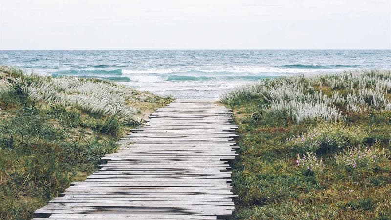 Small business owner in British Columbia preparing for PST registration