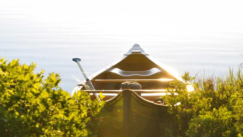 NEXUS trusted traveller card and Canadian passport on travel background