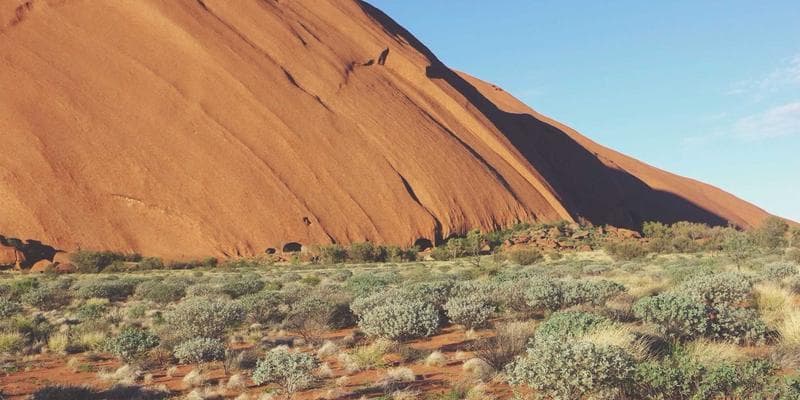 Canadian SIM cards and phone accessories for newcomers