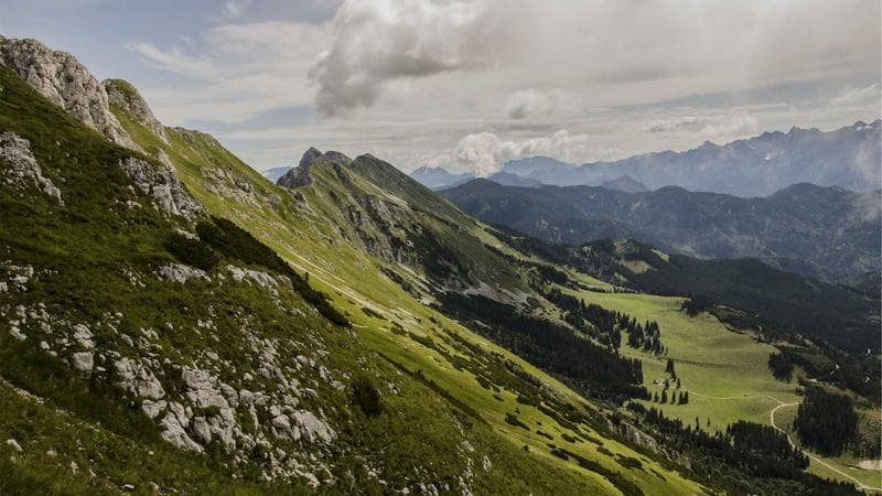 Newcomer presenting documents at a Service Canada office to apply for SIN