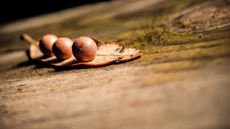 Newcomer signing car financing documents at a Canadian dealership