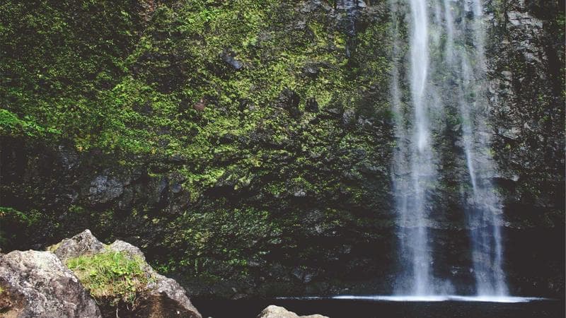 Provincial health card and medical stethoscope on a desk