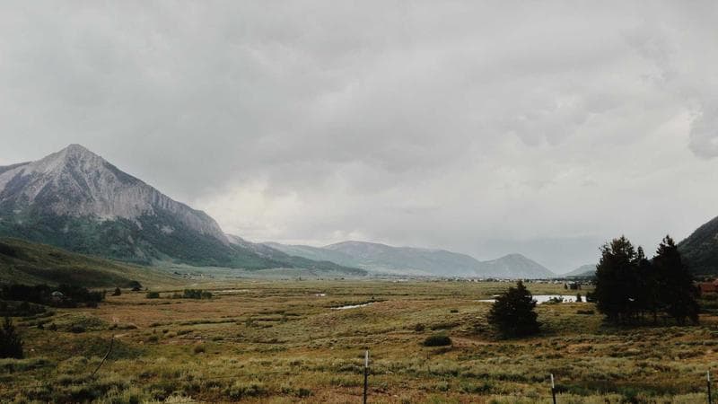 Provincial TD1 forms for Ontario, British Columbia, and Alberta