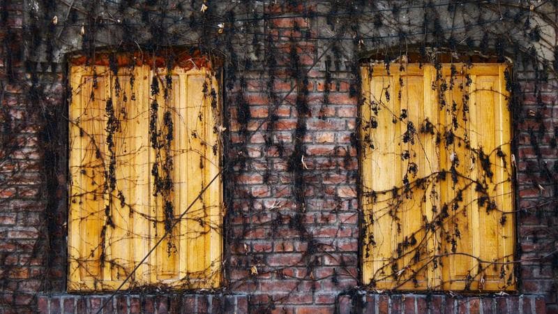 Person using Rosetta Stone language learning app on a tablet via library access