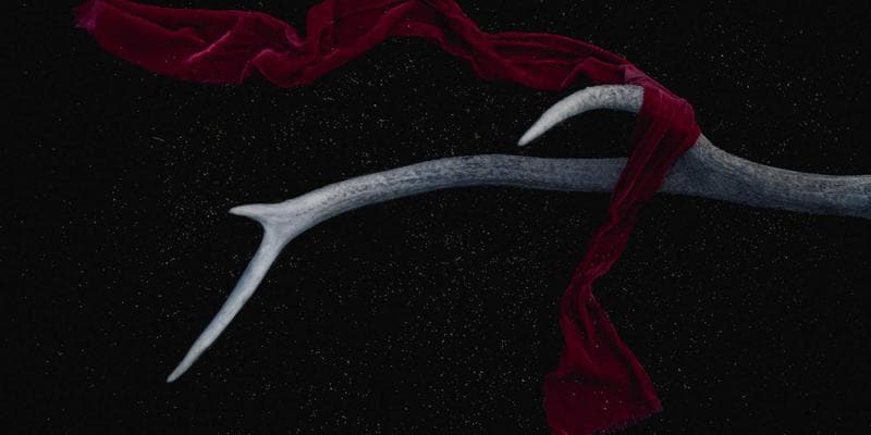 Canadian bank and credit union buildings on a city street