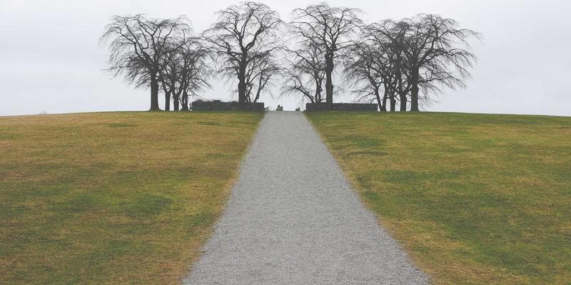 Tech startup office with casual dress code and modern workspace