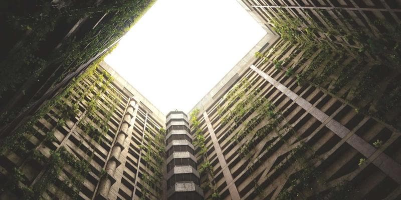 University student working at a co-op placement in a Canadian tech company