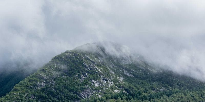 Computer-based language test interface on screen