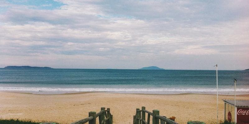 A newcomer reviewing car insurance documents and comparing quotes on a laptop