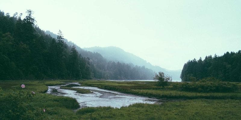 Scenic Canadian highway winding through mountain landscape