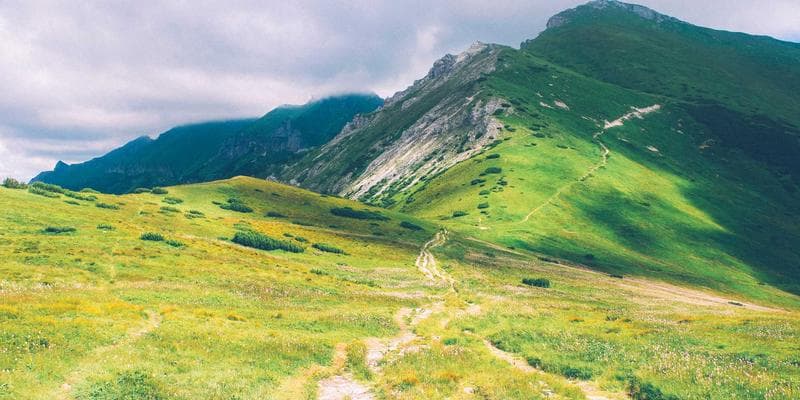 PRESTO card being tapped on a TTC fare reader at a bus stop