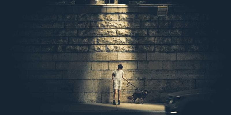 Fibre optic cables and networking equipment in a Canadian telecommunications facility