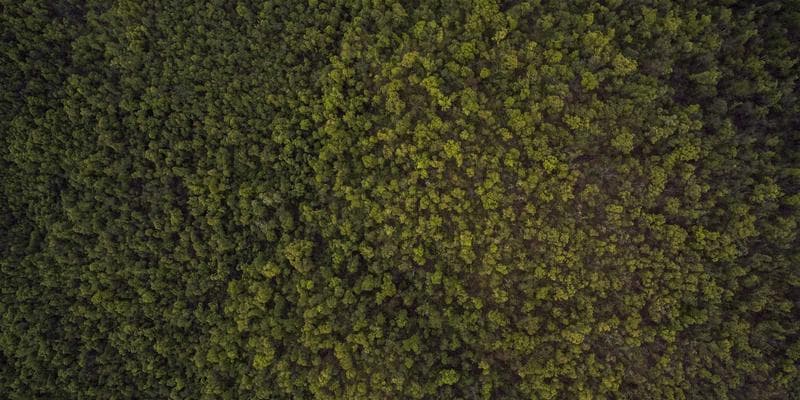 Immigration documents and a Canadian flag representing IRCC processing