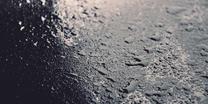 Immigration application fees breakdown for restoration of status in Canada