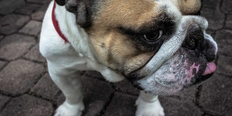 Flowchart showing when cryptocurrency transactions create taxable events in Canada