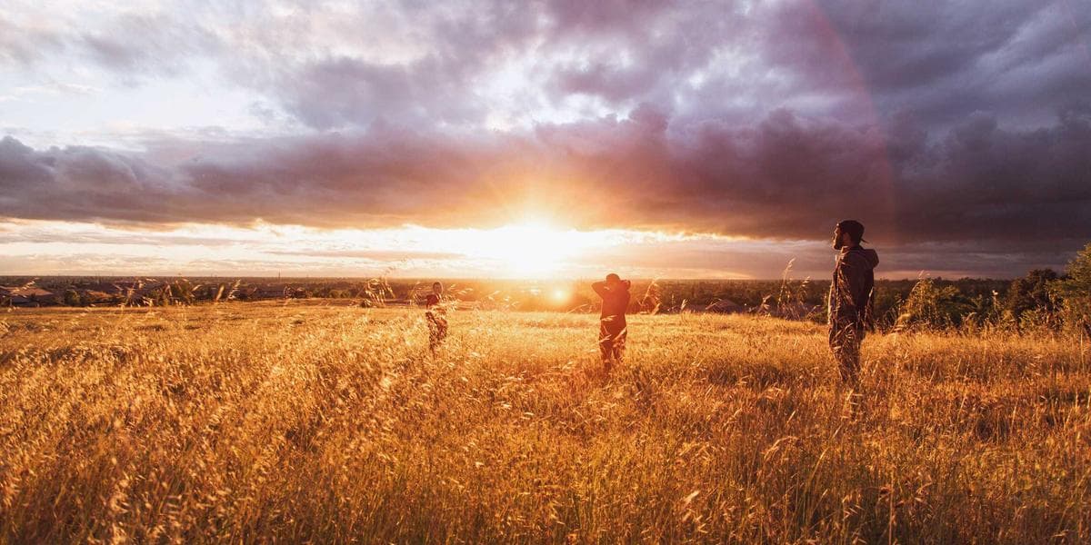 Physiotherapist guiding a patient through rehabilitation exercises in a Canadian clinic