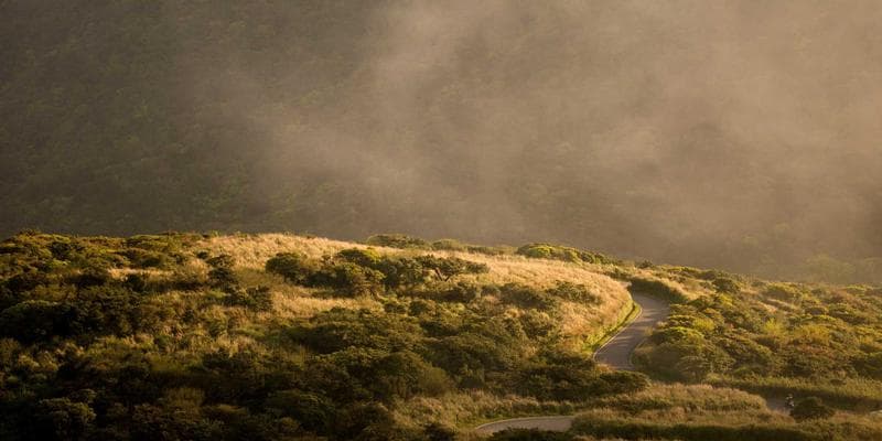 Patient performing guided physiotherapy exercises at home following a Canadian rehabilitation program