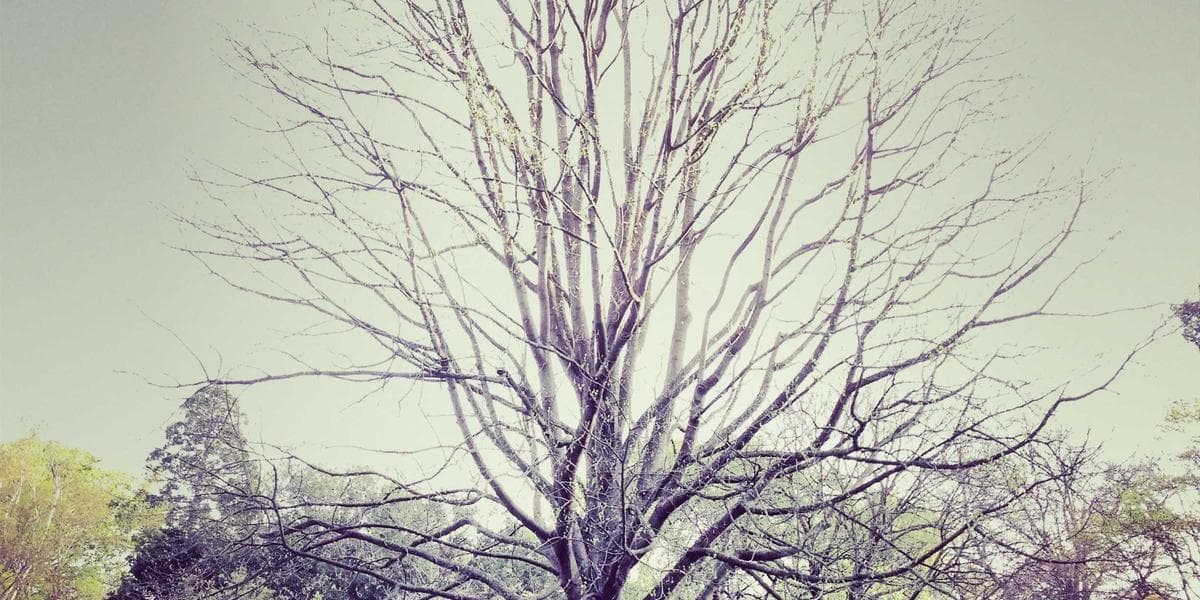 Optometrist performing an eye exam on a patient at a Canadian eye care clinic
