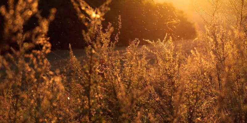 Selection of affordable eyeglass frames displayed at a Canadian optical store