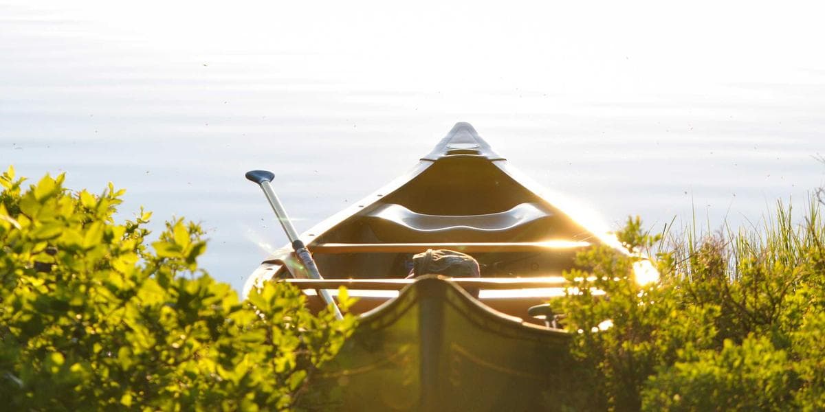 Parliament Hill in Ottawa with diverse professionals walking to government offices